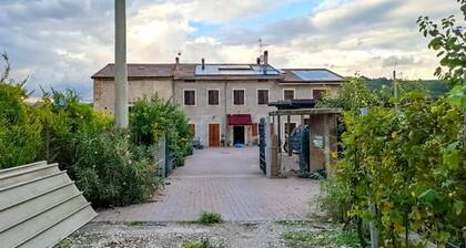 La Corte Nelle Vigne