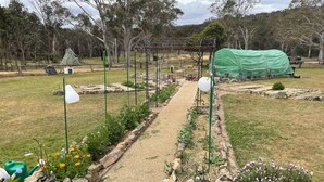Un jardin avec un chemin de gravier, des plantes en pot et une structure verte.