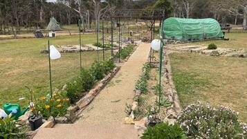 A garden with a gravel path, potted plants, and a green structure.