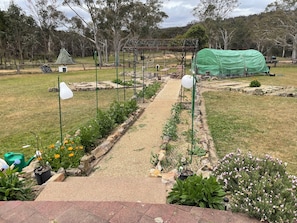 A garden with a gravel path, potted plants, and a green structure.