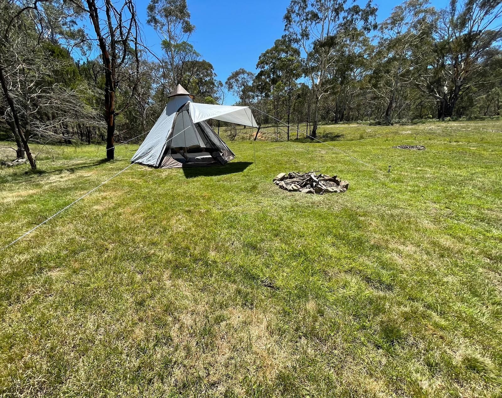 A tent set up on a grassy field with trees in the background.