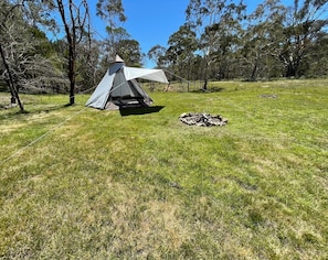 A tent set up on a grassy field with trees in the background.