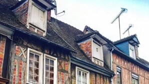 Una hilera de casas tradicionales con entramado de madera y múltiples ventanas y puertas, algunas con contraventanas.