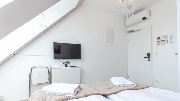 A modern hotel room with a bed, a television, a desk with a plant, a white door, and a skylight.