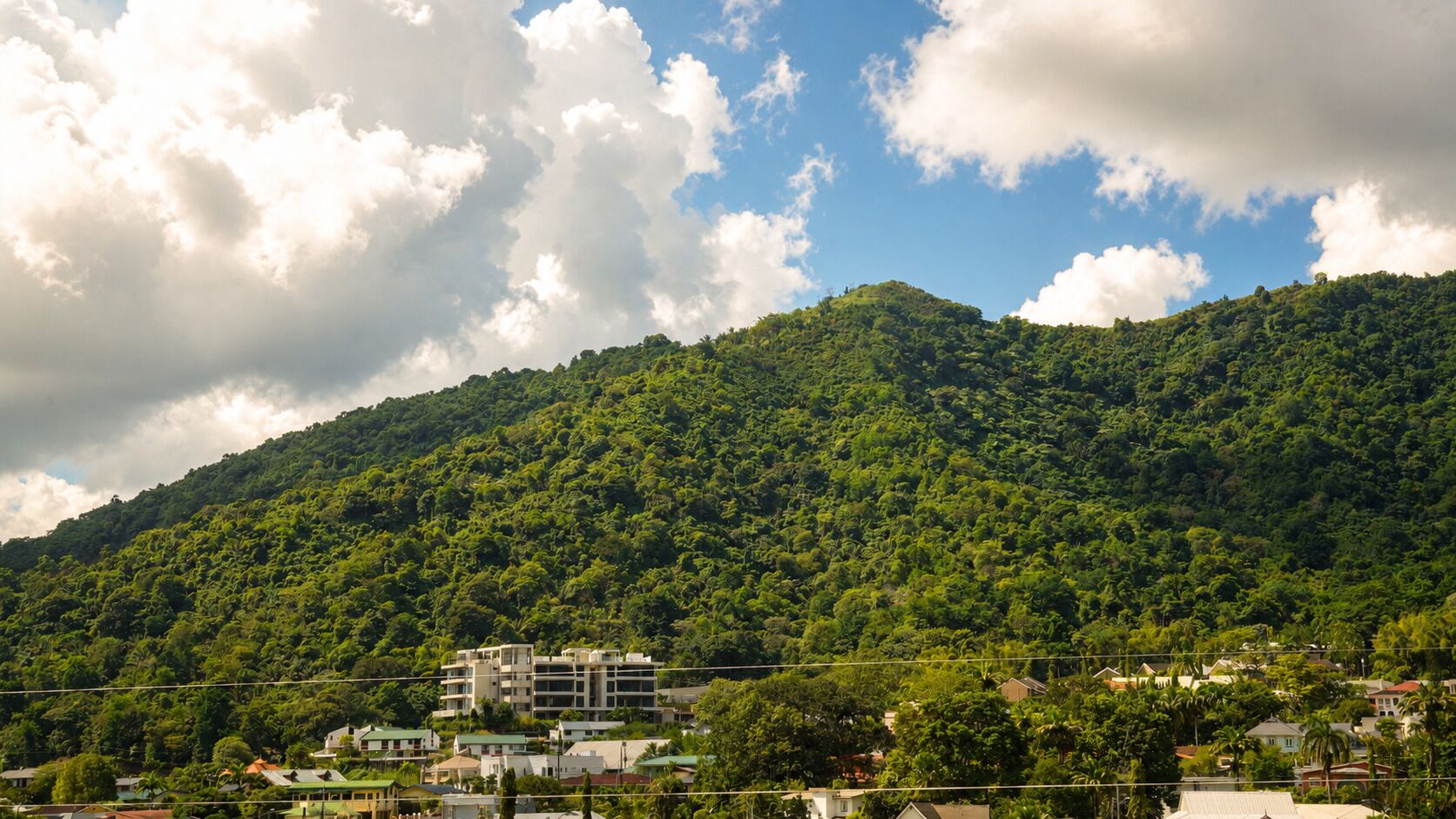 A residential area with a hill covered in dense green vegetation, a few buildings with flat roofs, and a clear sky with clouds.