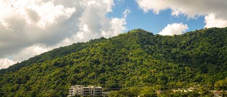 Zona residencial con una colina cubierta de vegetación verde densa, algunos edificios con techos planos y un cielo despejado con nubes.