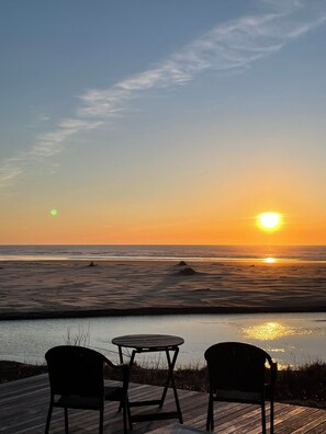Outdoor dining - Gorgeous, light-filled 4-bedroom beachfront house (Newport)