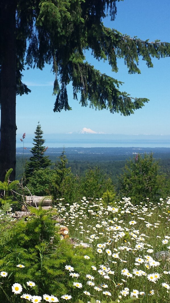 Unclassified image, 1 of 12, button - Serene 1-bedroom towerhome in Port Angeles with stunning views (Port Angeles)