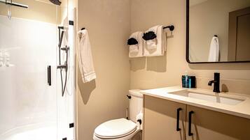 A bathroom with a shower, toilet, sink, and a mirror.