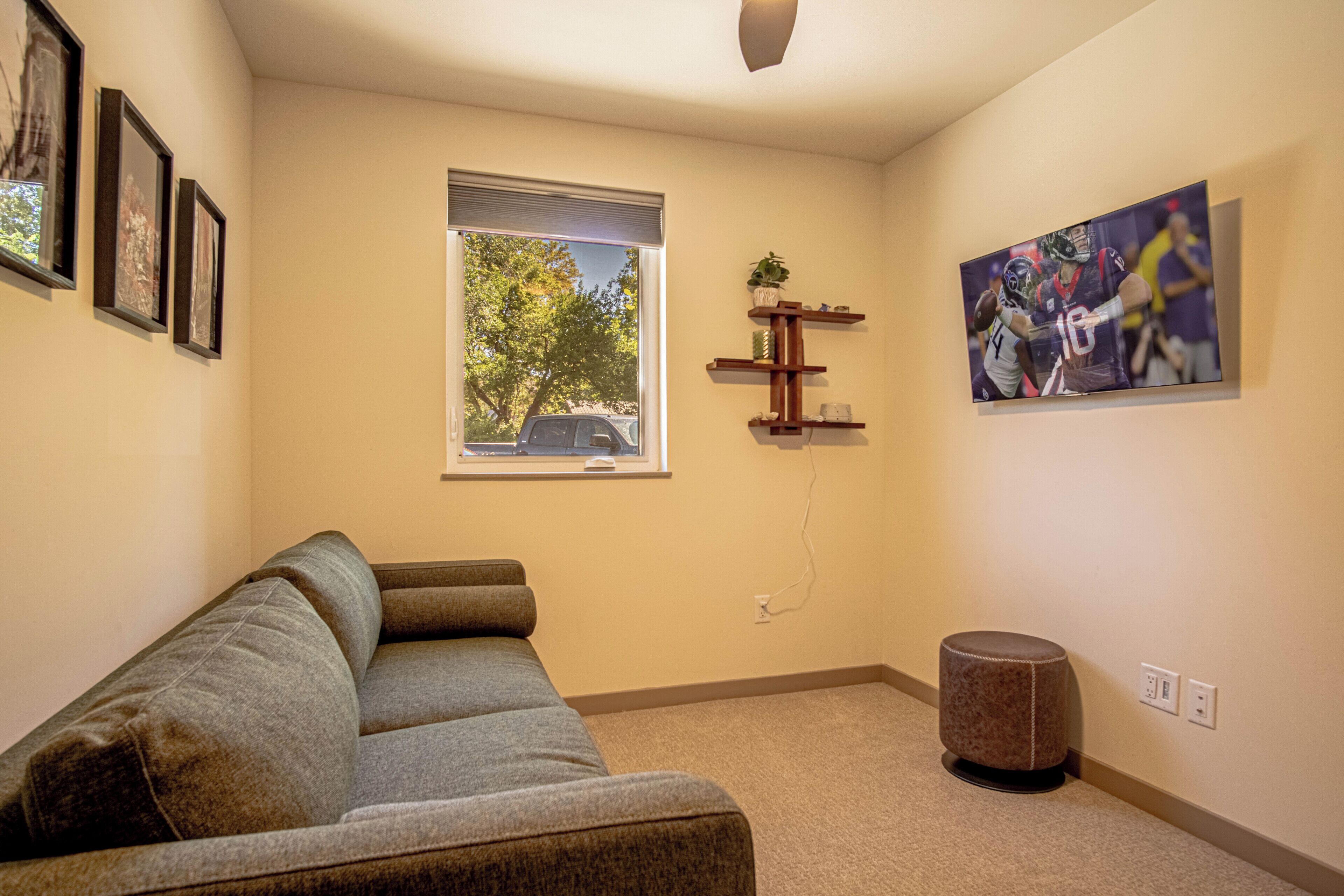 A living room with a grey sofa, a window with blinds, a wall-mounted shelf with a plant, and a framed sports action photo.