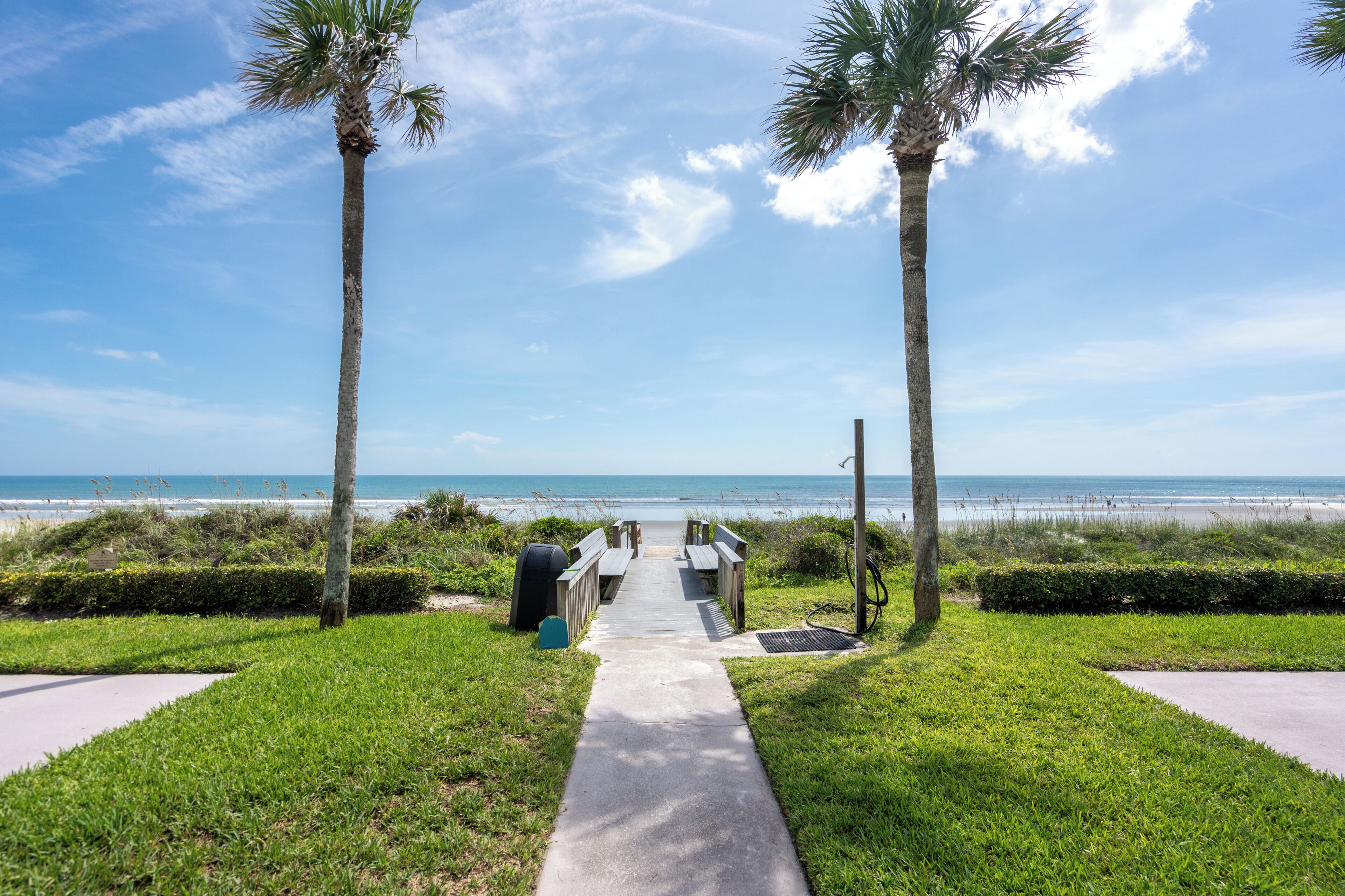A pathway leading to a beach with palm trees and a clear sky.