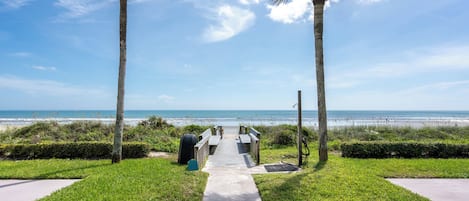 A pathway leading to a beach with palm trees and a clear sky.