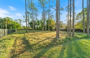 A grassy outdoor area with tall trees and a clear sky.