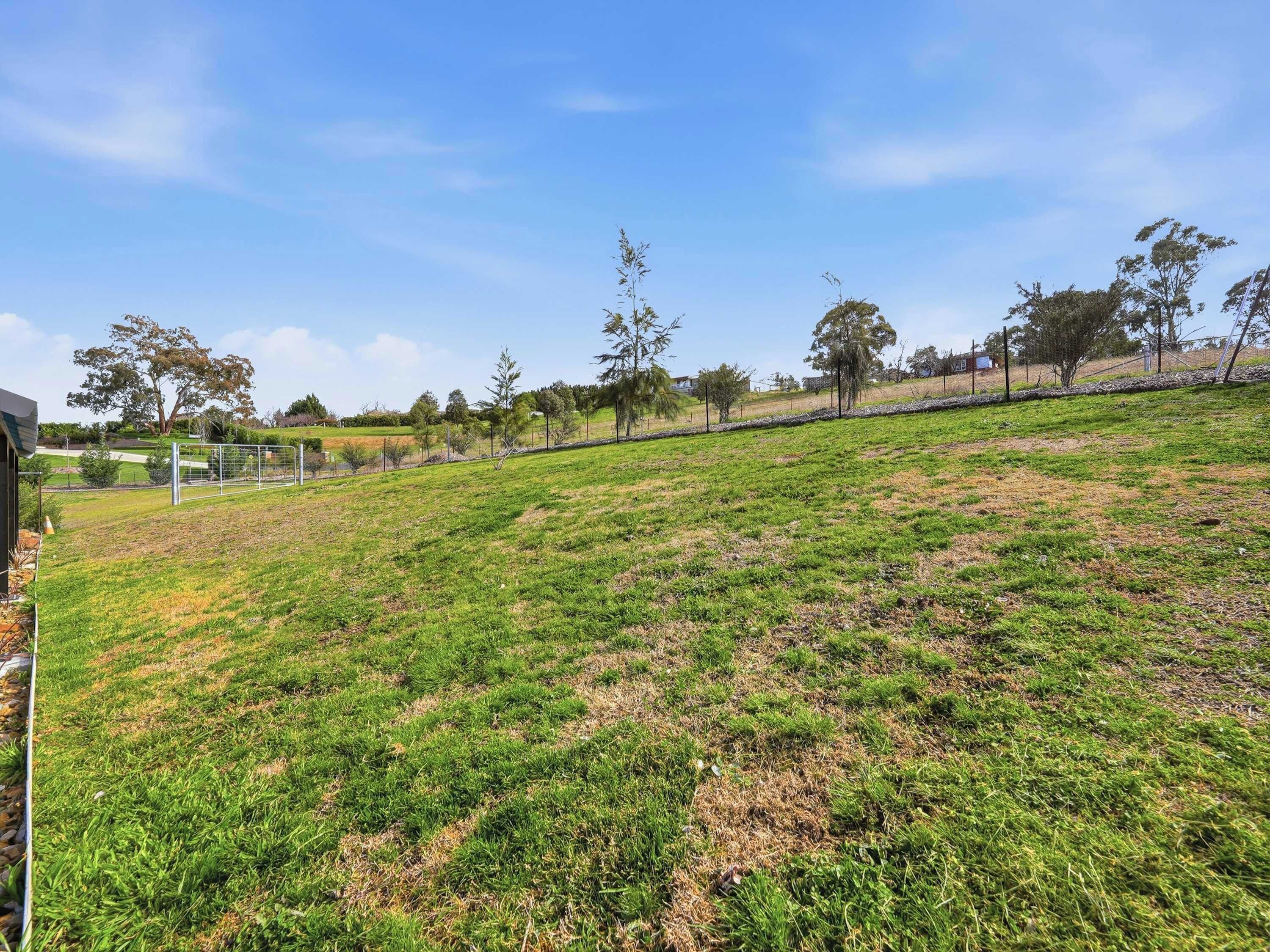 A grassy outdoor area with trees and a fence.