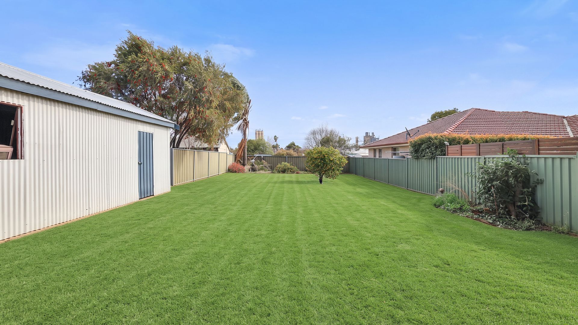 A well-maintained backyard with a lawn, a small tree, and a metal shed.