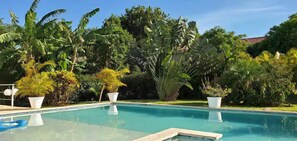 Una piscina rodeada de abundante vegetación y plantas en macetas.