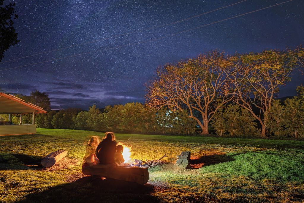 An outdoor setting with a starry night sky, a campfire, and a tree.