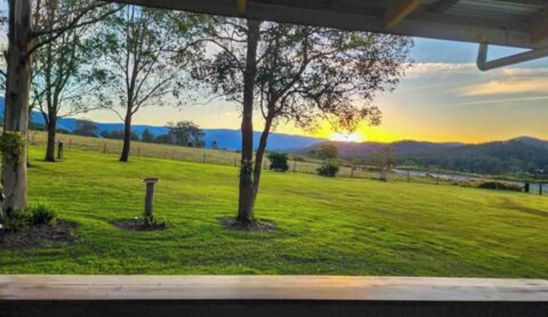 A grassy field with trees and a sunset in the background.