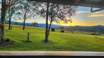 A grassy field with trees and a sunset in the background.
