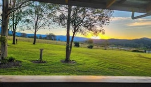 A grassy field with trees and a sunset in the background.