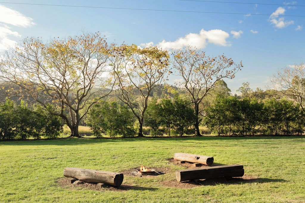 An open grassy field with scattered logs and trees in the background.