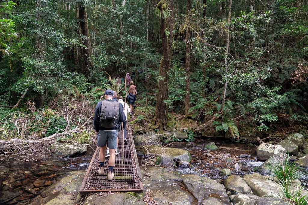 Un pont métallique enjambant un ruisseau dans une zone boisée.