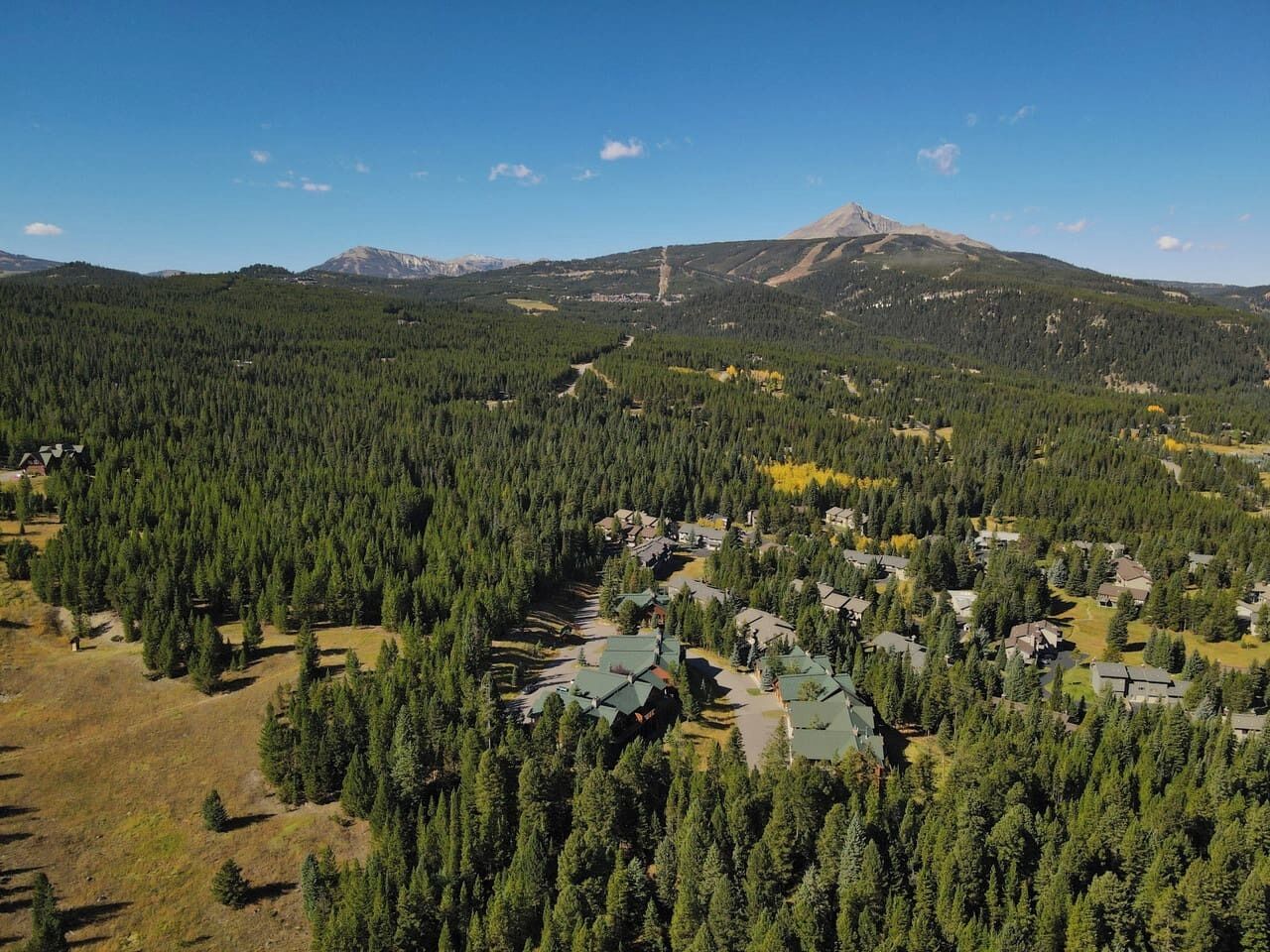 A residential area with houses surrounded by dense forest, a mountain in the background, and a clear sky.
