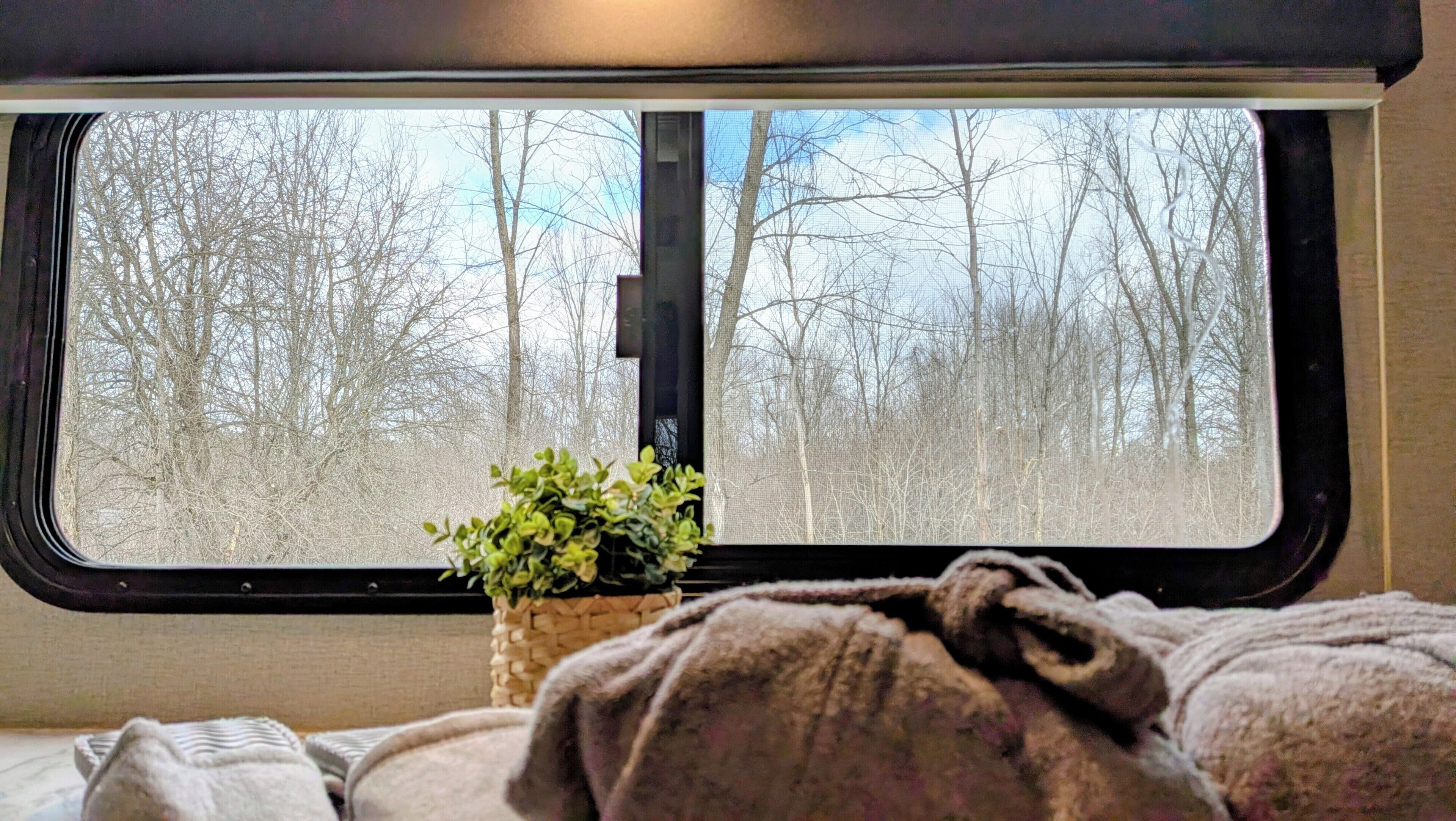 A window with a view of a forest, a plant in a woven basket, and a blanket on the bed.