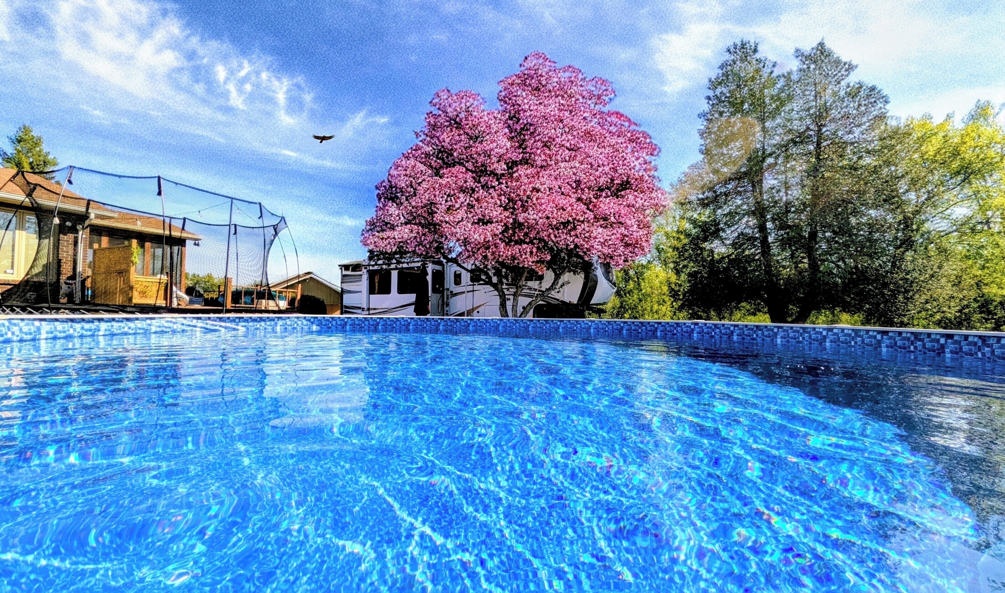 Una piscina al aire libre