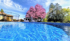 Una piscina con agua cristalina azul, rodeada de árboles y una casa.