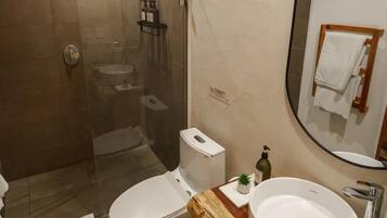 A bathroom with a glass-enclosed shower, a toilet, a sink, and a mirror.