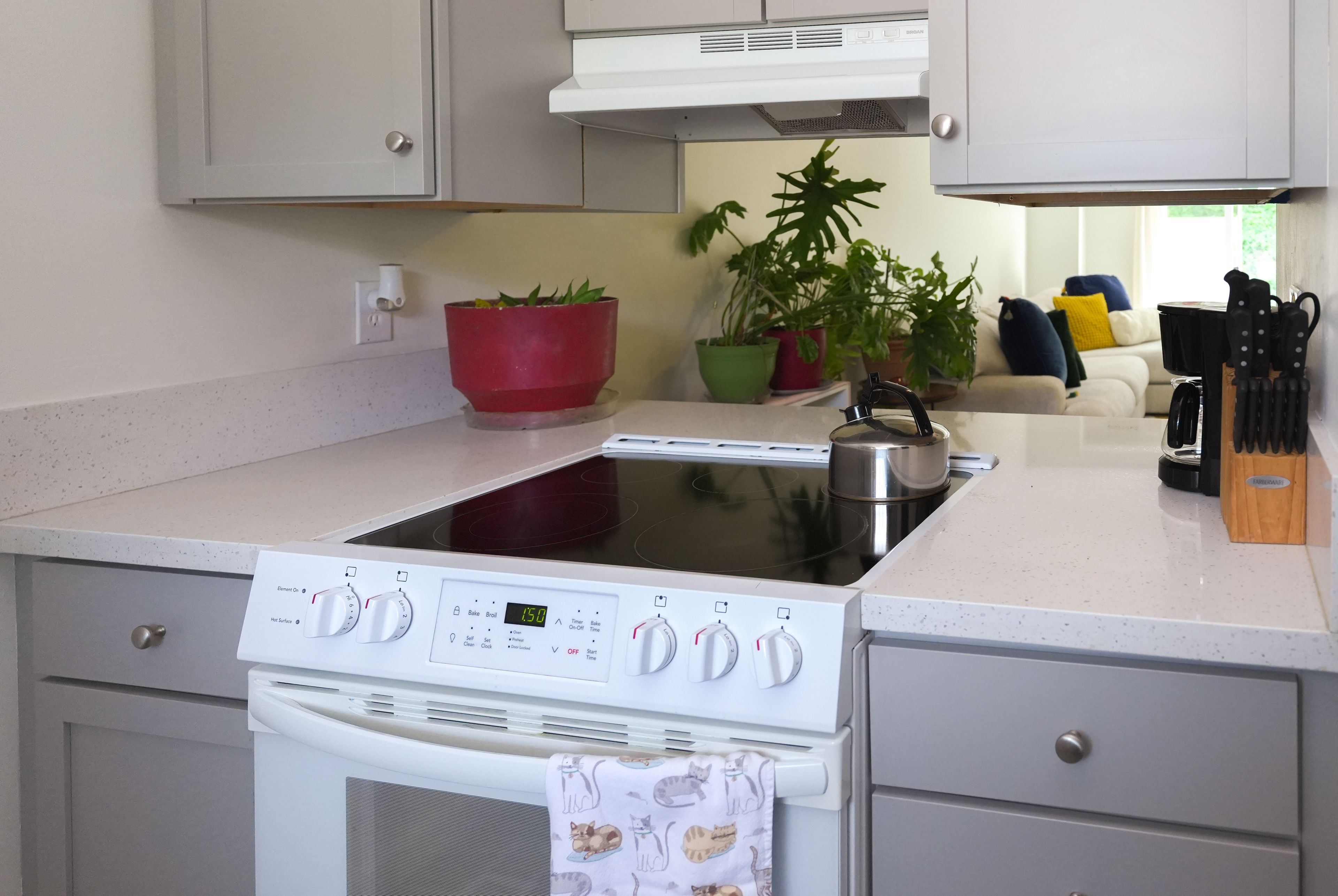 Een keuken met een fornuis, een waterkoker en verschillende potplanten.