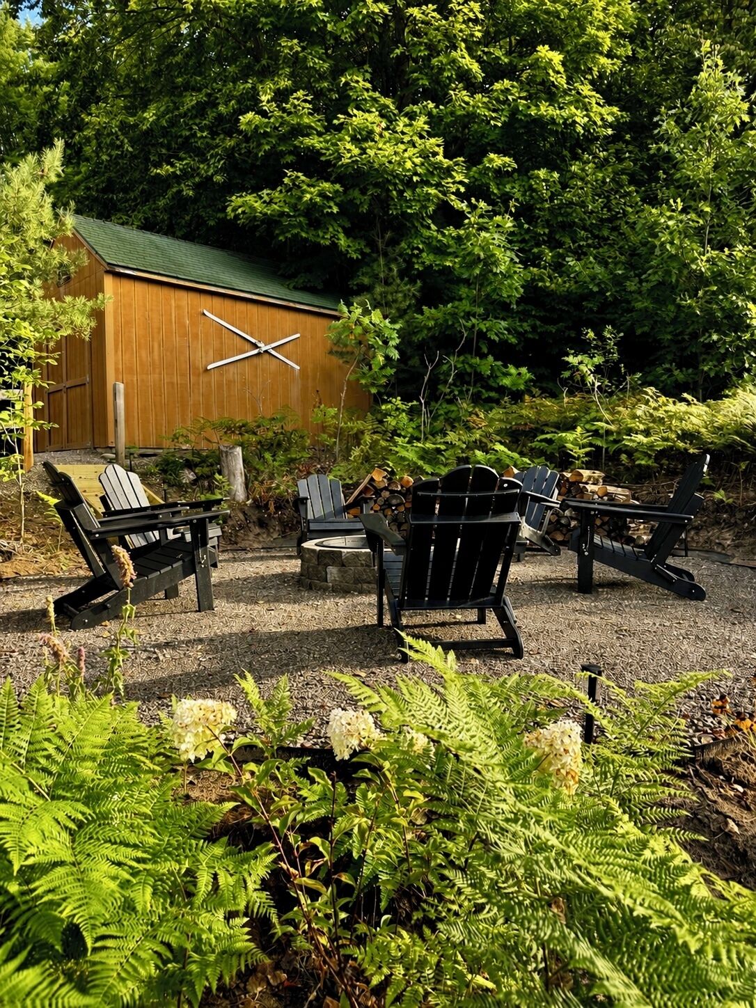 A rustic outdoor seating area with Adirondack chairs, a wooden shed, and lush greenery.
