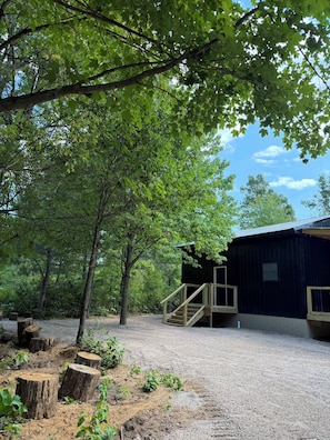 A rustic cabin with a gravel driveway, surrounded by dense trees and wooden stumps. - Tall Pine Retreat — Cozy, Deep-Woods Getaway in tranquil Necedah (Necedah)