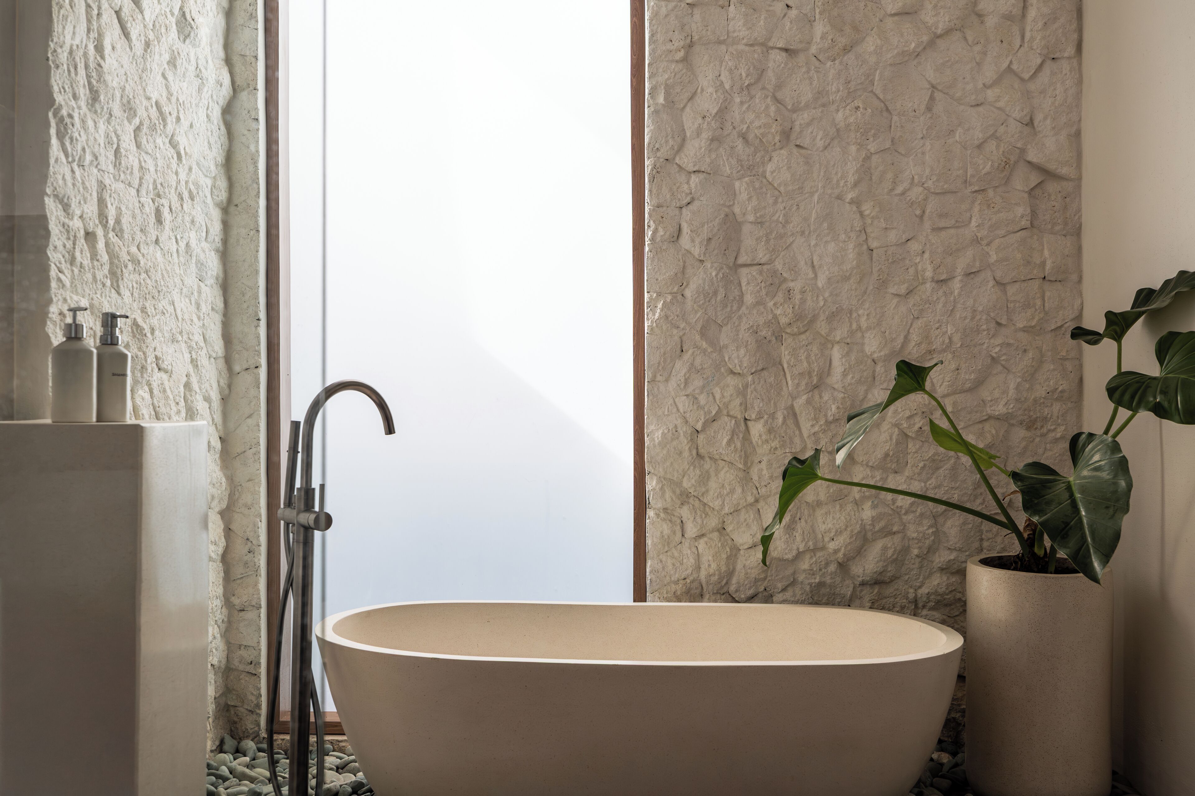 Une salle de bain avec une baignoire sur pieds, une douche et une plante en pot.