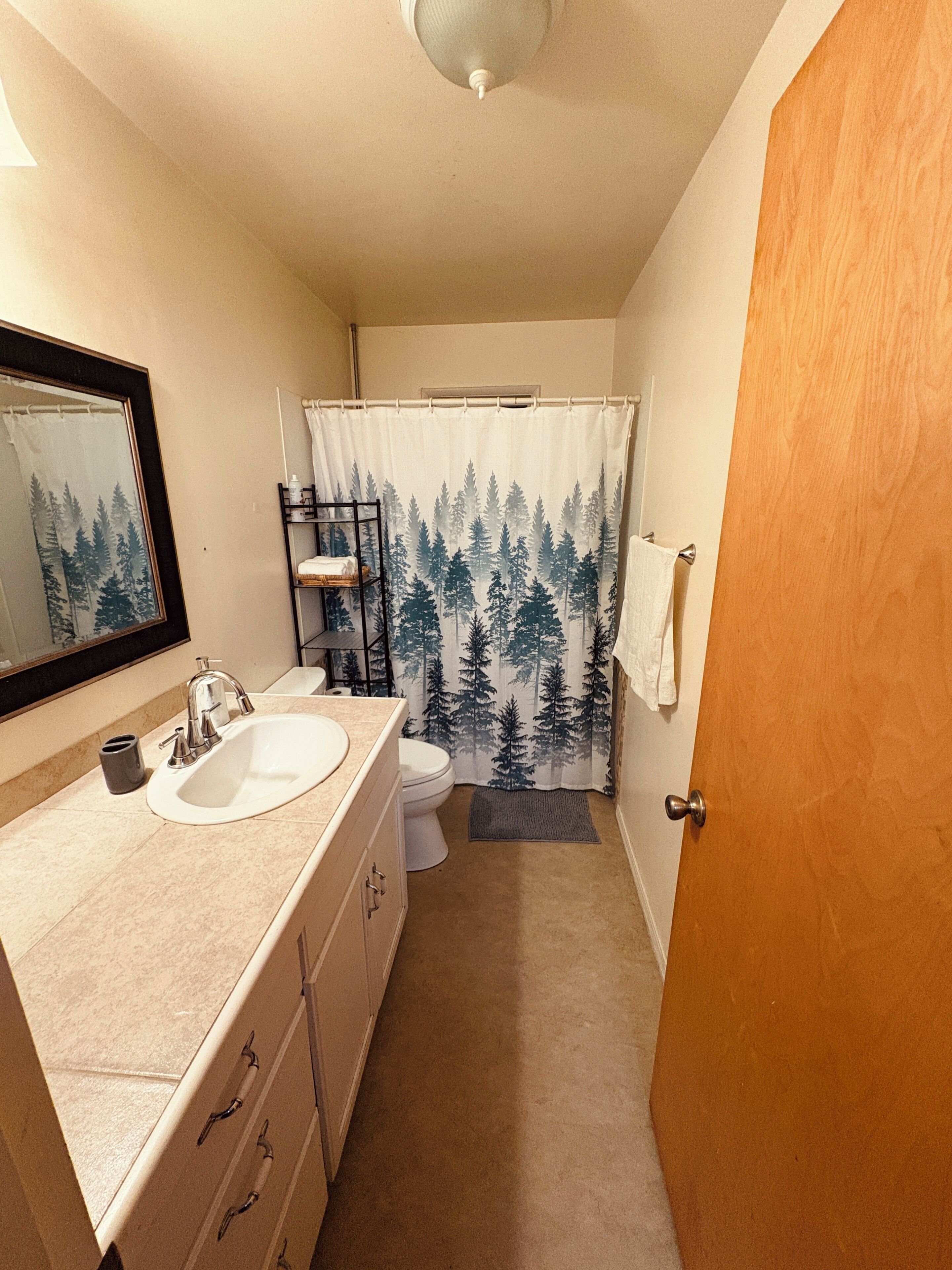 A bathroom with a sink, toilet, and shower curtain.