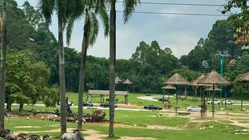 A grassy area with palm trees, a zebra, and a giraffe.