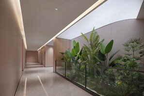A modern hallway with a glass railing, wooden panel walls, and a variety of indoor plants.