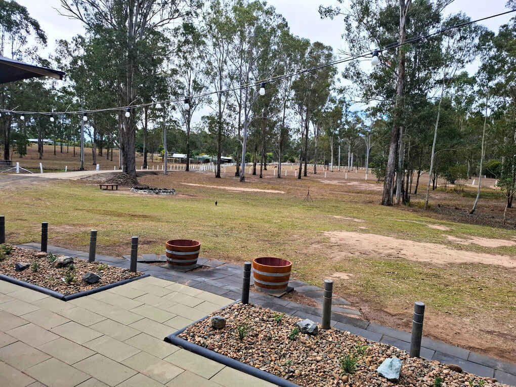 An outdoor area with pathways, trees, and seating.