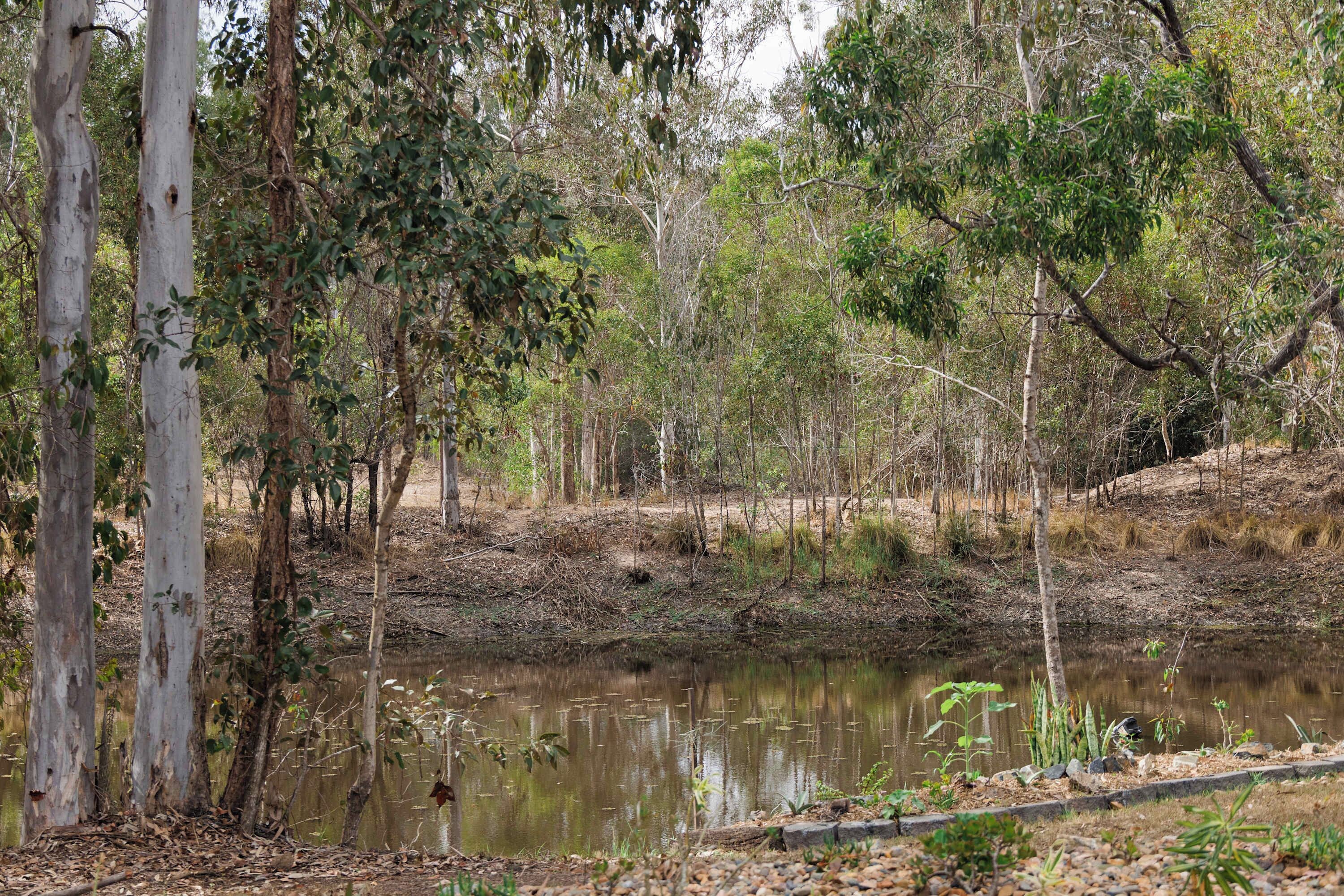 Un paysage naturel comprenant une étendue d’eau, des arbres et une côte rocheuse.