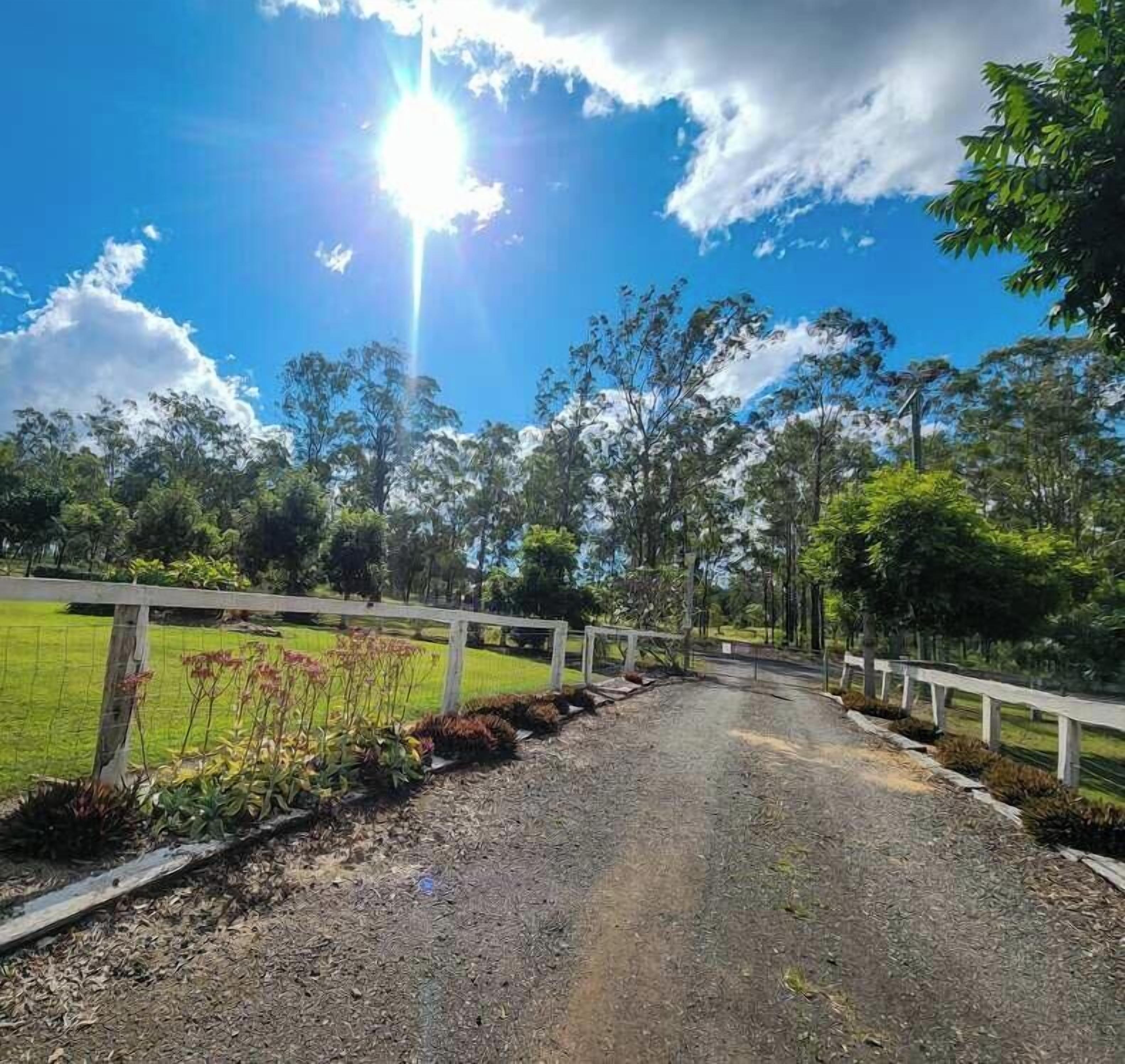 Un chemin pavé bordé d’une clôture blanche d’un côté, entouré de verdure et d’arbres.