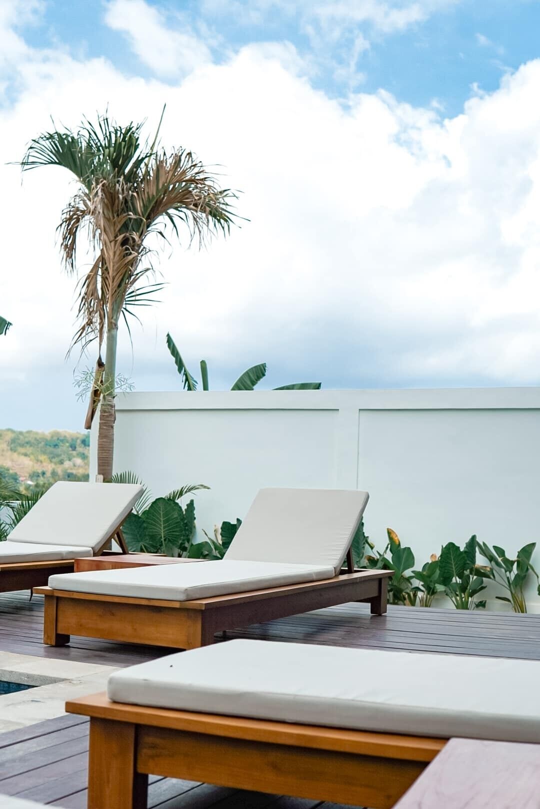 Eine Dachterrasse mit zwei Liegestühlen und einer Palme.