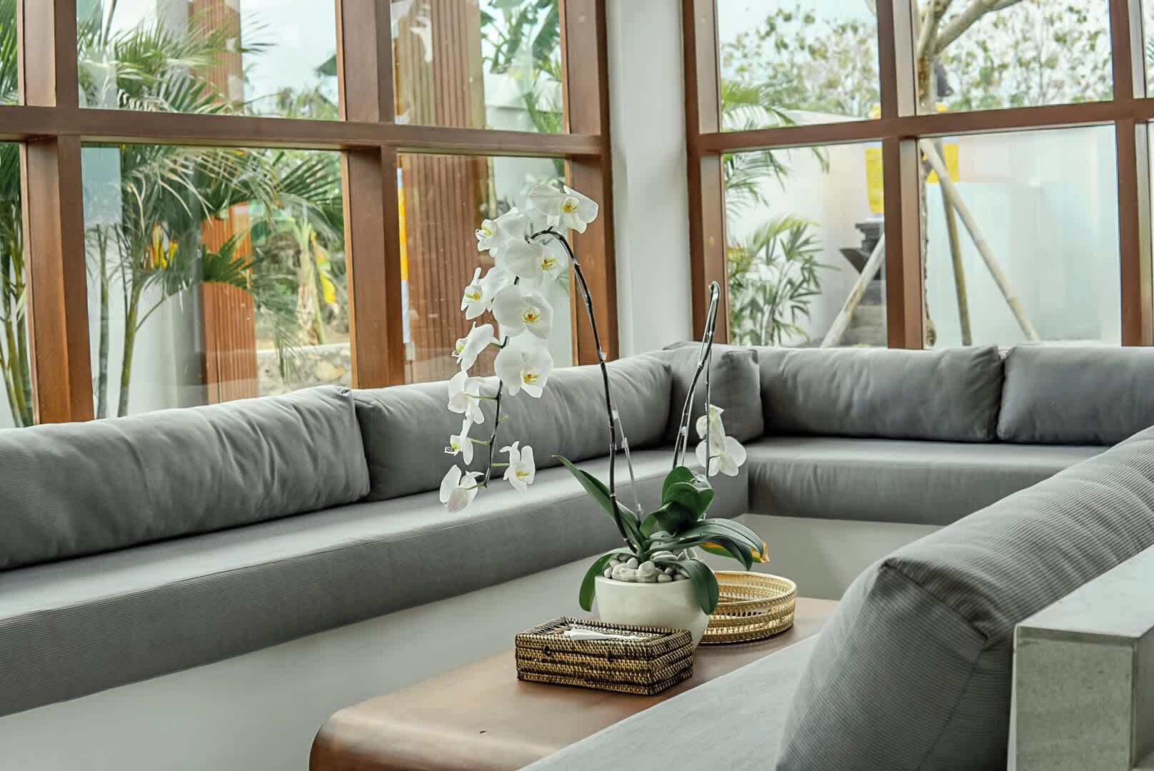 A modern living room with a grey sofa, a small wooden table, and a potted orchid plant.