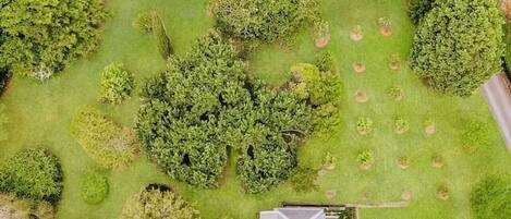 Une grande maison moderne dotée d’une vaste pelouse et d’une grande variété d’arbres et d’arbustes.