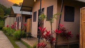 A series of modern, single-story buildings with a flat roof, surrounded by a well-maintained garden with various plants and a paved pathway.