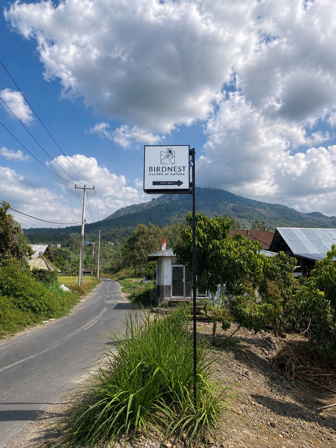A road sign for Birdnest with a mountainous landscape in the background.