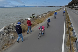 En asfalterad stig som löper längs med en vattenyta, där cyklister och fotgängare färdas.