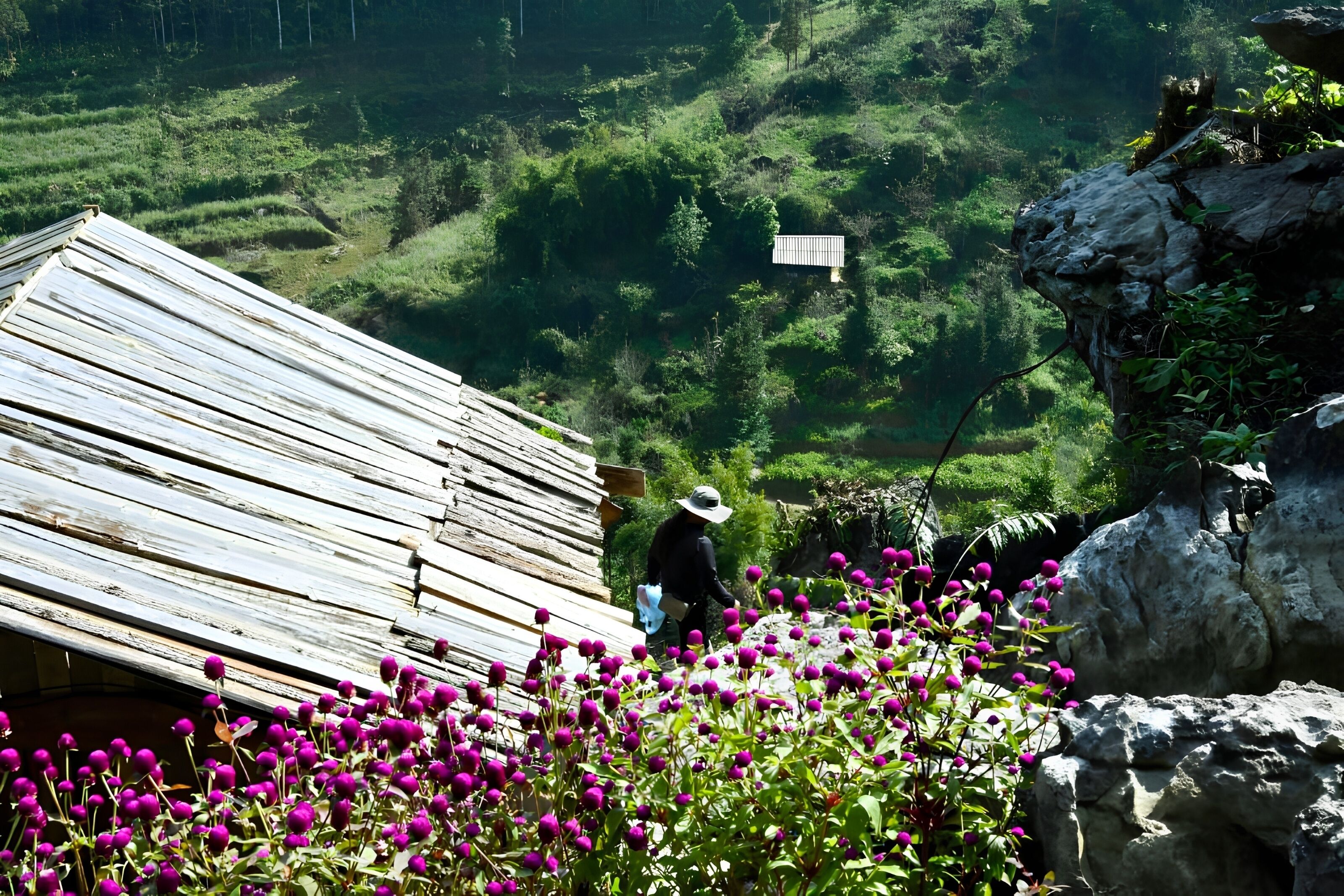 Estrutura de madeira rústica com uma pessoa por perto, cercada por vegetação exuberante e flores roxas.