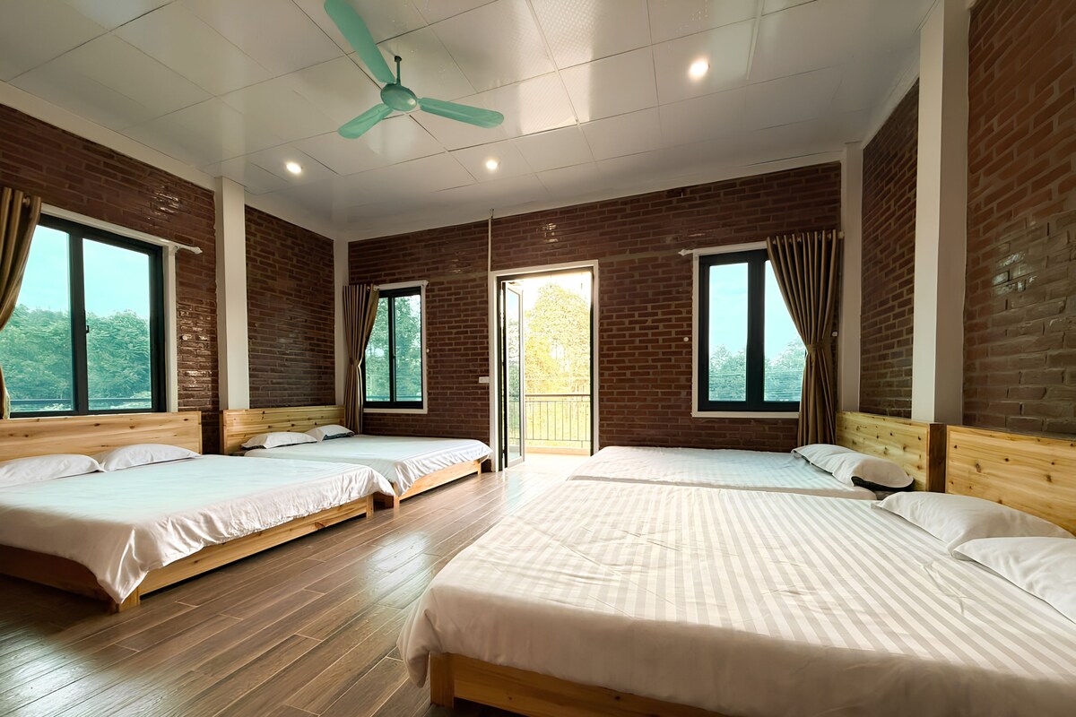 Economy Shared Dormitory, Mountain View