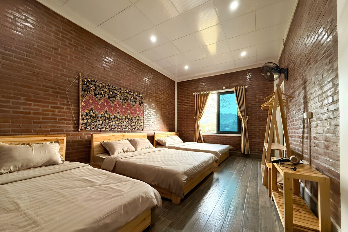 Economy Room, Garden View